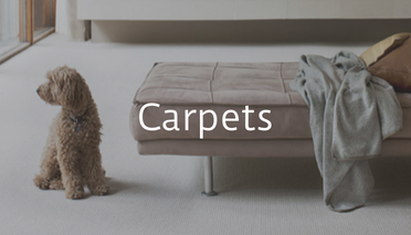 Artificial Carpets